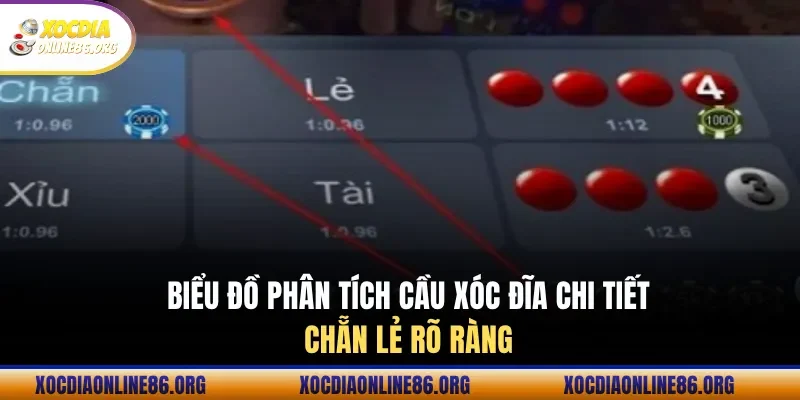 bieu do phan tich cau xoc dia chi tiet chan le ro rang Biểu đồ phân tích cầu xóc đĩa chi tiết chẵn lẻ rõ ràng