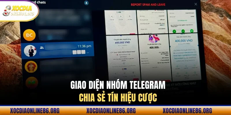 giao dien nhom telegram chia se tin hieu cuoc Giao diện nhóm Telegram chia sẻ tín hiệu cược