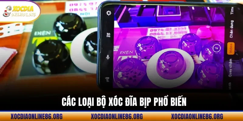 cac loai bo xoc dia bip pho bien Các loại bộ xóc đĩa bịp phổ biến