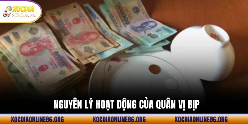 Nguyên Lý Hoạt Động Của Quân Vị Bịp