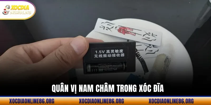 Quân Vị Nam Châm Trong Xóc Đĩa