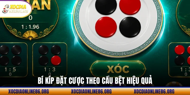 bi kip dat cuoc theo cau bet hieu qua Bí kíp đặt cược theo cầu bệt hiệu quả