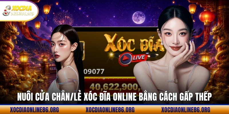 Nuôi cửa Chẵn/Lẻ xóc đĩa online bằng cách gấp thếp